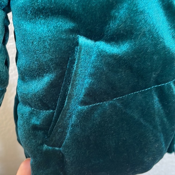 Toddler Gymboree velvet puffer jacket - Picture 6 of 11